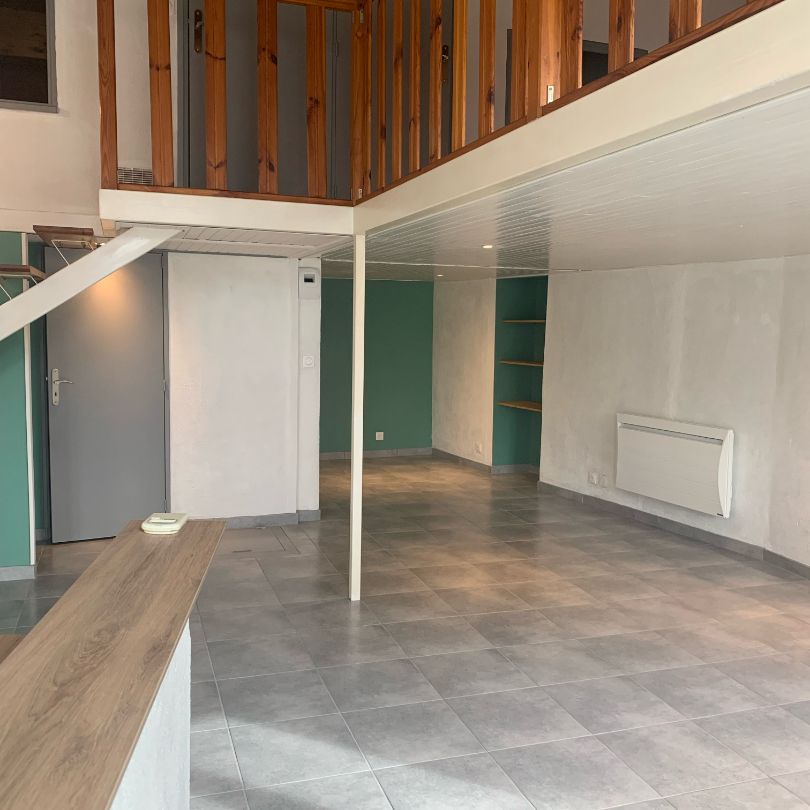 Location Appartement 3 pièces 61m² CALUIRE ET CUIRE 69300 - Photo 1