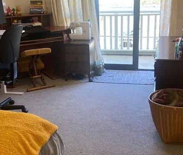 Stylish 4-Bedroom Home in the Heart of Aro Valley - Photo 5
