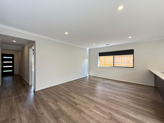 Modern Spacious Home - Photo 1