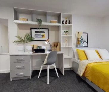 Gold Studio Plus - Photo 4