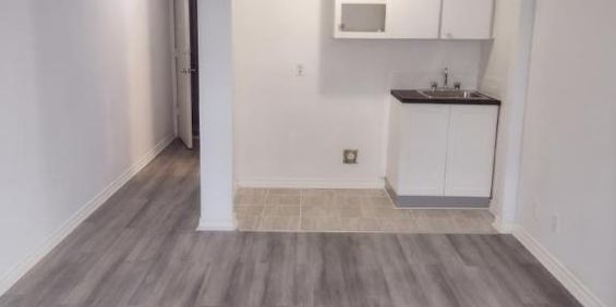 Studio - Montréal - $1,079 /mo - Photo 3
