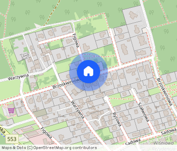 2 pokoje z aneksem na 1 piętrze + balkon + garaż - Photo 1