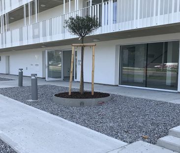 ST. PÖLTEN XVI/2 - Foto 4