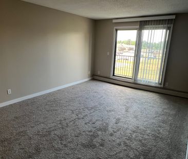 Spacious 2 Bedroom Cat Friendly Suite in Clearview! - Photo 2