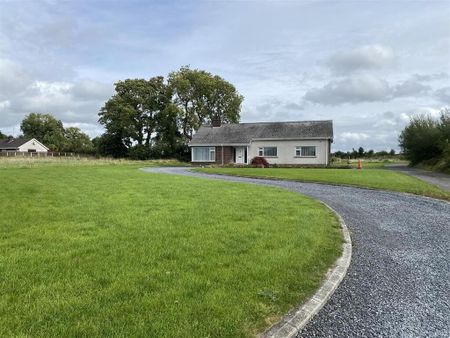 227 Tandragee Road, Portadown, BT62 3RA - Photo 5