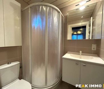 Location appartement 1 pièce – T1 Viuz en sallaz - Photo 4
