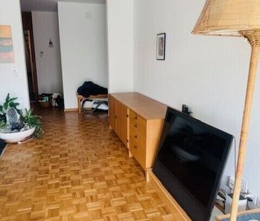 41/2 ROOM APARTMENT IN ZURICH, FURNISHED, TEMPORARY - Photo 4