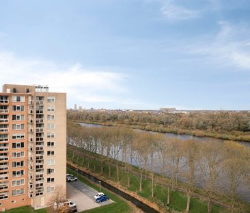 Hermelijnvlinder 49, Vlindertuin, 1113LC, Diemen - Photo 2