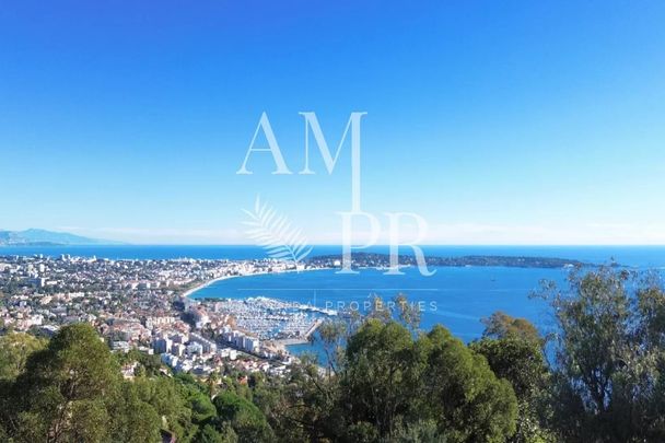 LOCATION SAISONNIÈRE - VILLA PROVENÇALE DE PRESTIGE – HAUTEURS DE CANNES - Photo 1