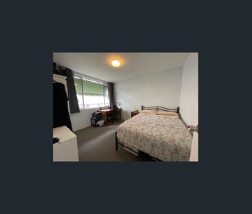 3/426 Milton Road, Auchenflower, Qld 4066 - Photo 5