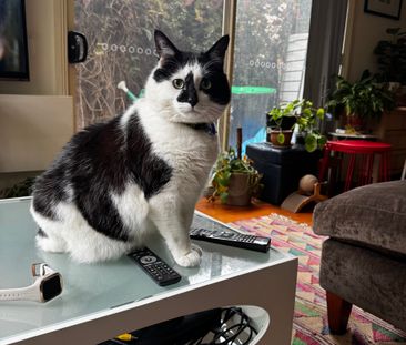 Abbotsford - Photo 6