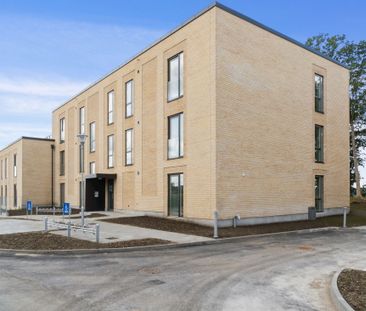 3-vær. lejlighed - Photo 6