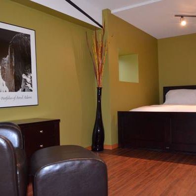 ►►► FULLY FURNISHED Contemporary 1 BDRM Loft Style Apartment - Photo 3