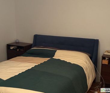 7-4720, avenue Bourbonnière, Rosemont / La Petite Patrie à louer - Photo 6