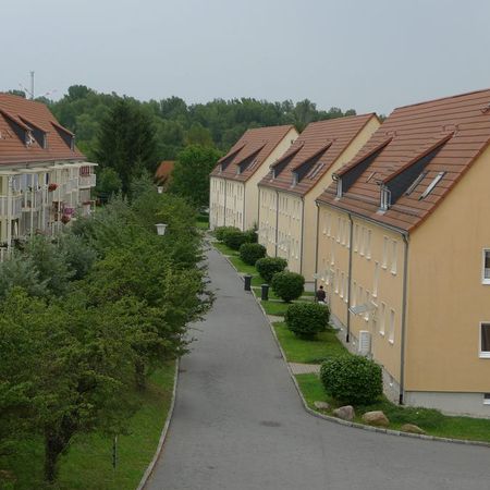 Rositz, Helle Zwei-Raum-EG-Wohnung (ME146) - Foto 3