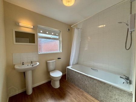 107 Greenore Street, Belfast, BT6 8NF - Photo 4