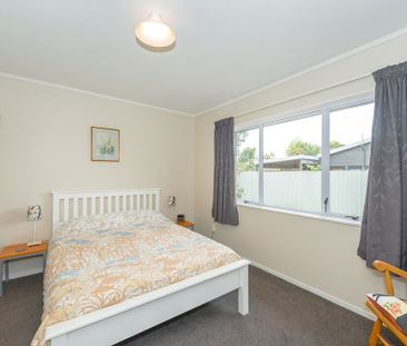 Sunny, Private Rental in Hamilton East - Photo 5