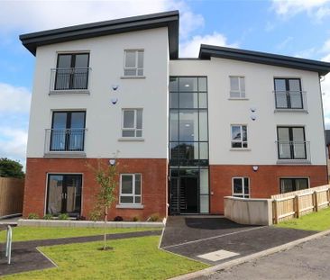 Apt 6 4, Park Avenue Heights, Belfast, BT4 1SH - Photo 5