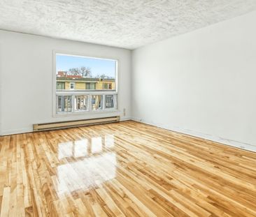 7336 8e Avenue, H2A 3C9, H2A 3C9, Montréal - Photo 1