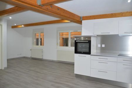 Location Appartement 3 pièces 71m² ALTKIRCH 68130 - Photo 2