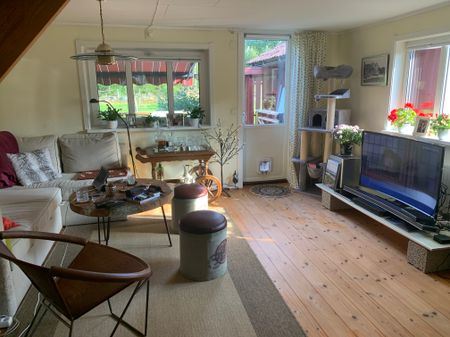 Ubbalt hus ett, Vittsjö - Photo 3