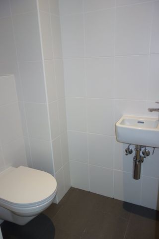 Plaine de Plainpalais - Foto 5