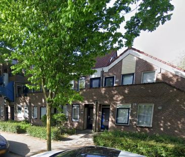 Appartement de deux pièces Albatrosweg 130, Alkmaar - À louer - Photo 1