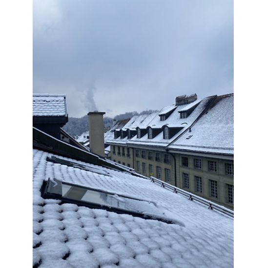 1 Zimmer-Wohnung in Fribourg (FR), möbliert - Photo 1