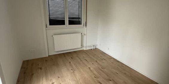 1.5 Zimmer, EG - Photo 3