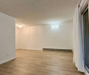 COMPLETELY RENOVATED Alexandra Place one bed one bath for rent - Photo 1