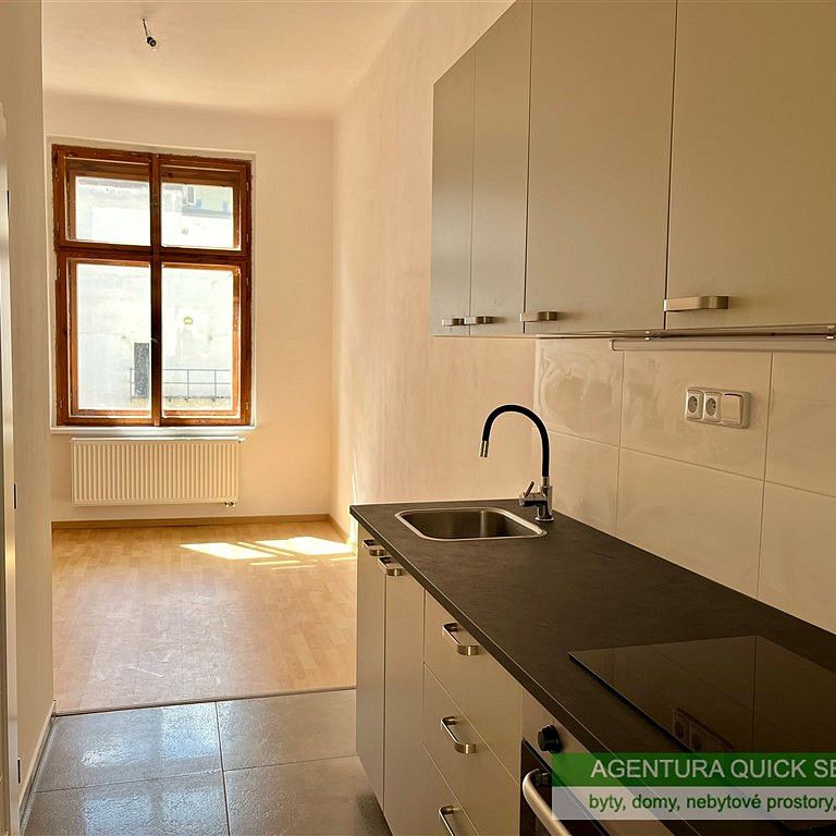 Pronájem bytu 1+1 47 m² - Photo 1