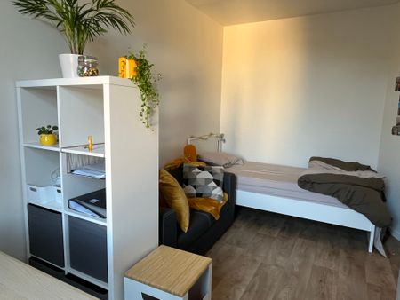 Kamer 3 - Ottergemsesteenweg 113 - Photo 3