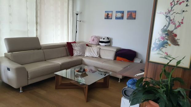 1 Zimmer, 114 m², 2. Stock - Foto 1