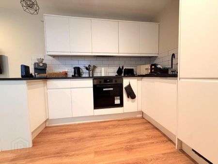 Apt 2, 17 Camden Street, Belfast, BT9 6AT - Photo 5