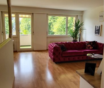 Nachmieter gesucht für 3.5 Zimmer Wohnung - Foto 2