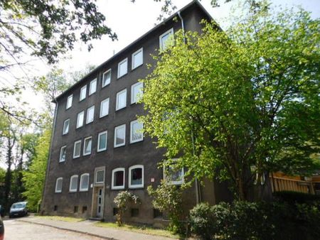 Schicke 2-Raumwohnung in zentraler Lage mit Vinylboden... - Foto 3