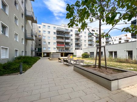 3-Zimmerwohnung im Viola Park | Erdgeschoss mit Eigengarten - Photo 3