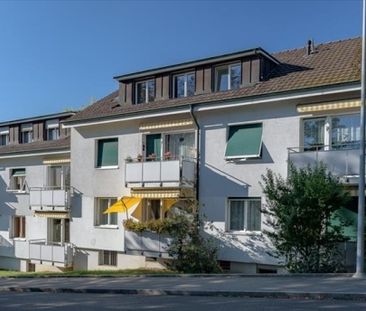 Votre nouvelle maison à Riehen - Photo 1