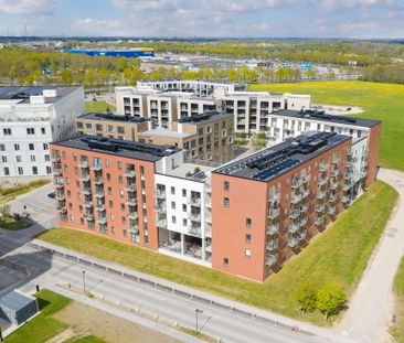 Moderne lejebolig i Odense M med stor tagterrasse -perfekt til den ... - Foto 6