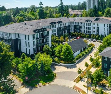 Rental 427-14968 101A Avenue - Photo 1