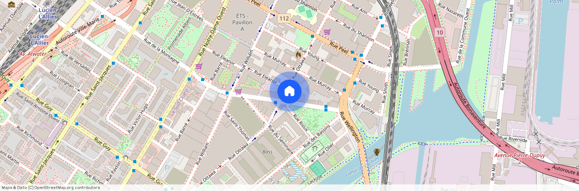225 Rue de la Montagne, app. 601, Montréal (Le Sud-Ouest), H3C2A6