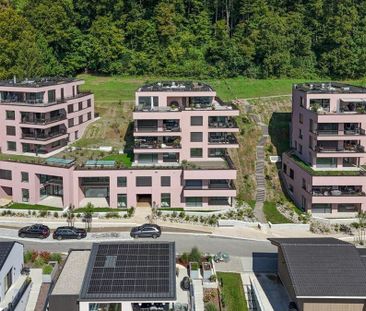 Sitzplatz, Rasen, Lichthof - fehlt nur noch Ihr Grill! - Foto 4
