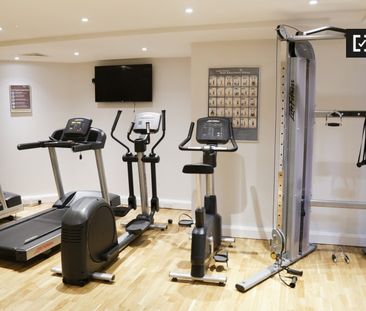 Studio for rent in Donnybrook, Dublin - Photo 4