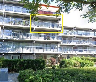Appartement Persijnlaan, Purmerend - À Louer - Photo 1