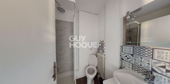 Appartement Meublé Wintzenheim 1 pièce(s) 24 m2 - Photo 3