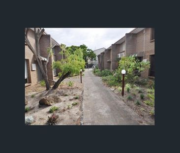 3/323 Stirling Street, Highgate, WA 6003 - Photo 6