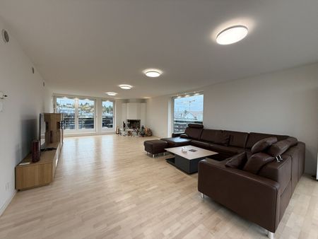 Exclusive 300 m² penthouse apartment with private elevator, access to Wallisellen - Photo 3