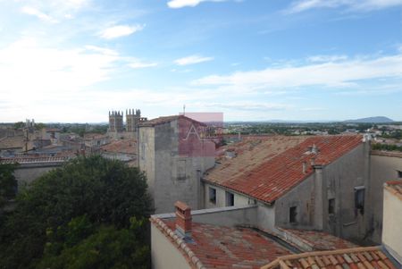 LOCATION APPARTEMENT 3 PIÈCES MEUBLÉ MONTPELLIER ECUSSON PRÉFECTURE - Photo 3