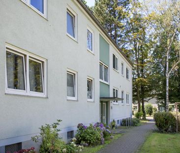 Schöne 3-Zimmer-Wohnung mit neuem Laminatboden frei! - Photo 6