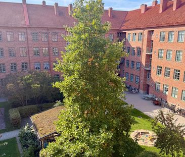 Bellmansgatan, Malmö - Foto 5